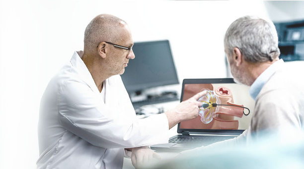 Due medici osservano l'animazione del sistema PFA.